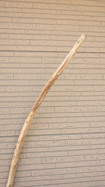 画像4: 棒流木・長尺 (4)