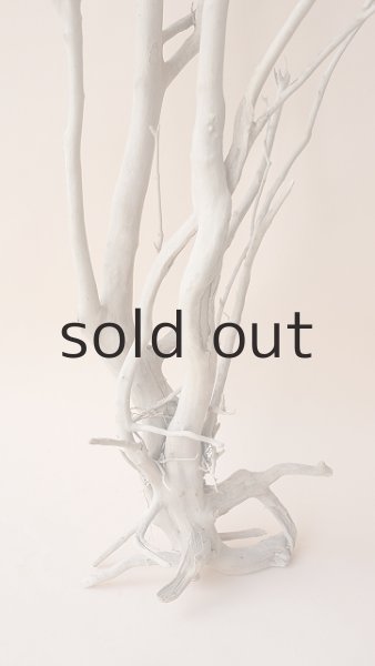 画像2: 枝流木 (2)