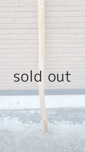 画像2: 棒流木 (2)