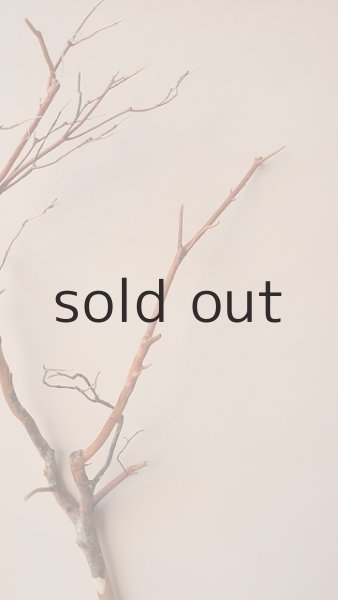 画像5: 枝流木 (5)