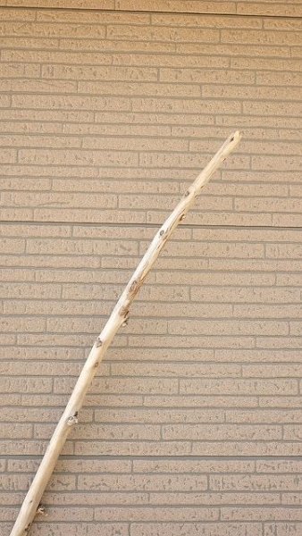 画像4: 棒流木・長尺 (4)