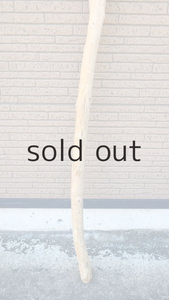 画像2: 棒流木・長尺 (2)