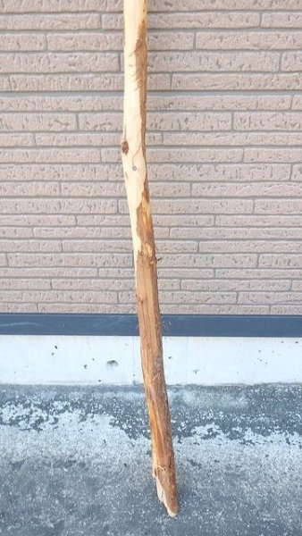 画像2: 棒流木・長尺 (2)