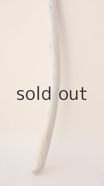 画像5: 棒流木 (5)