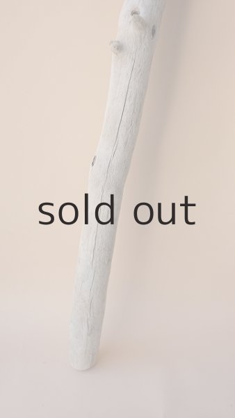 画像6: 枝流木 (6)