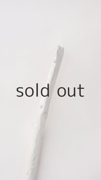 画像4: 棒流木 (4)