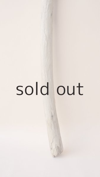 画像2: 棒流木 (2)