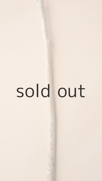 画像3: 棒流木 (3)