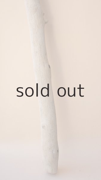 画像2: 枝流木 (2)