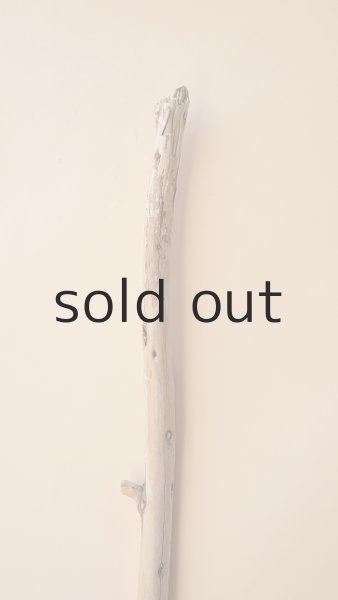 画像4: 棒流木 (4)