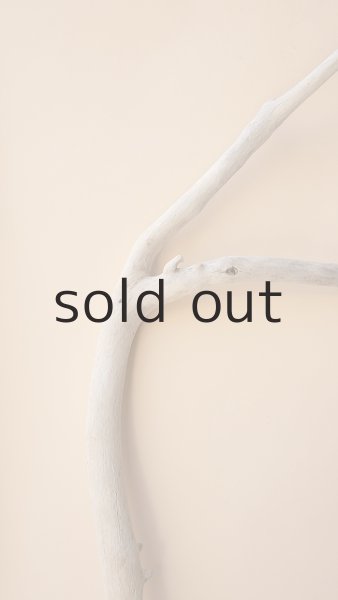 画像3: 枝流木 (3)