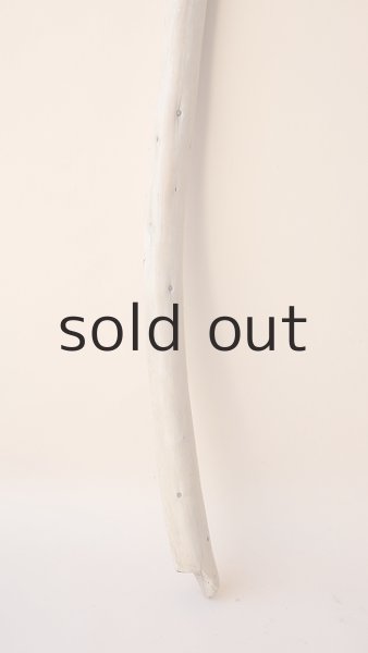 画像2: 棒流木 (2)