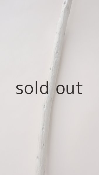 画像3: 棒流木 (3)