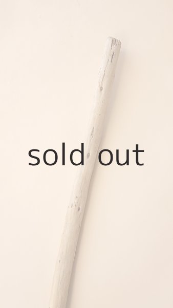 画像3: 棒流木 (3)