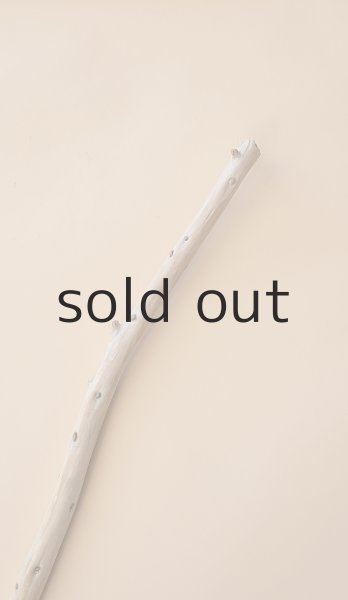 画像4: 棒流木 (4)