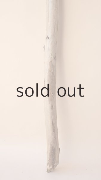 画像2: 棒流木 (2)