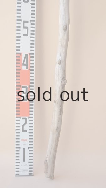 画像5: 棒流木 (5)