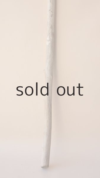 画像2: 棒流木 (2)