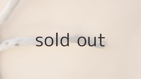 画像4: 枝流木 (4)