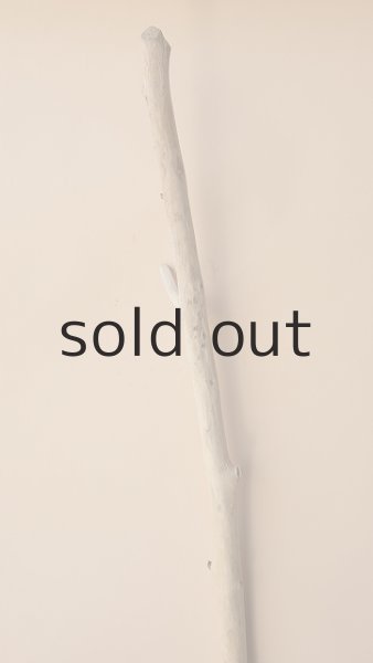 画像4: 棒流木 (4)