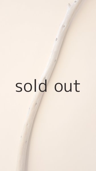 画像3: 棒流木 (3)