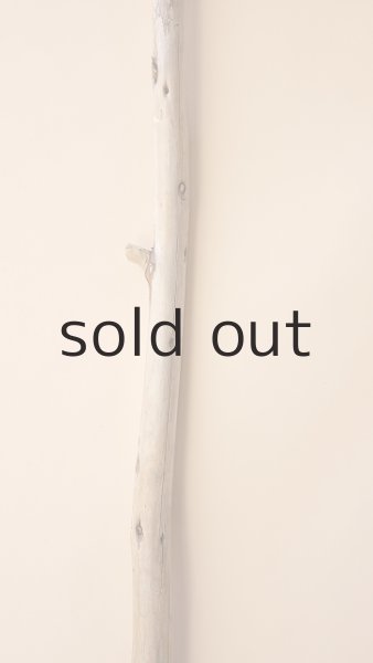 画像3: 棒流木 (3)