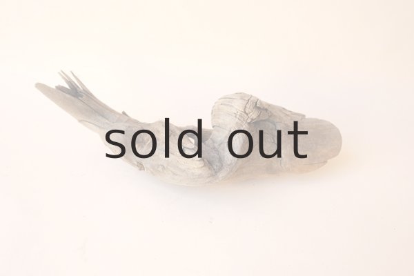 画像4: 変形流木 (4)