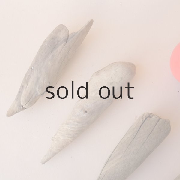 画像3: 変形流木セット (3)