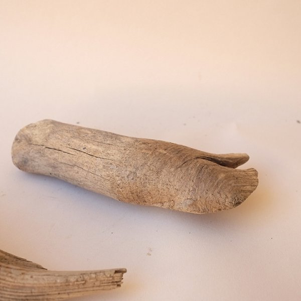 画像3: 変形流木セット (3)