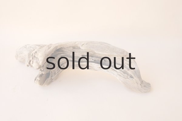 画像3: 変形流木 (3)