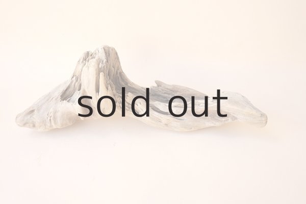 画像2: 変形流木 (2)