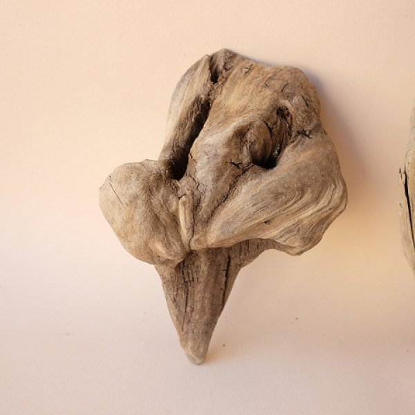 画像2: 変形流木セット (2)