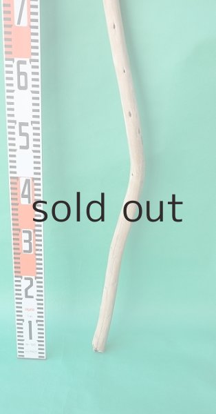 画像5: 棒流木 (5)