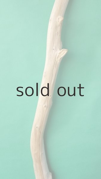 画像3: 棒流木 (3)