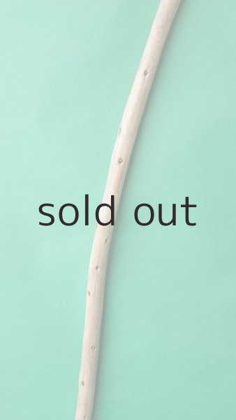 画像3: 棒流木 (3)