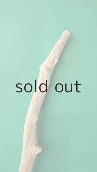 画像4: 棒流木 (4)