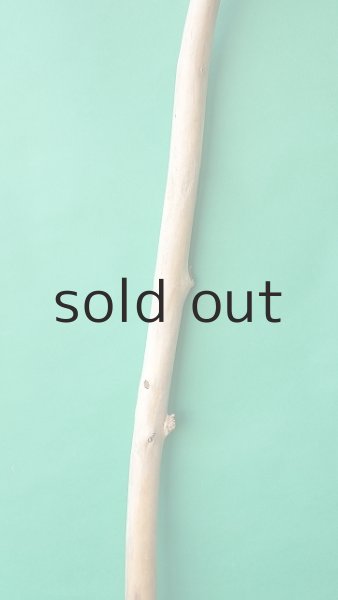 画像3: 棒流木 (3)