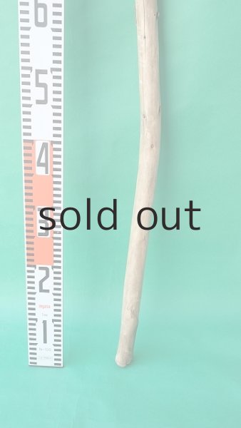 画像5: 棒流木 (5)