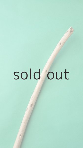 画像4: 棒流木 (4)