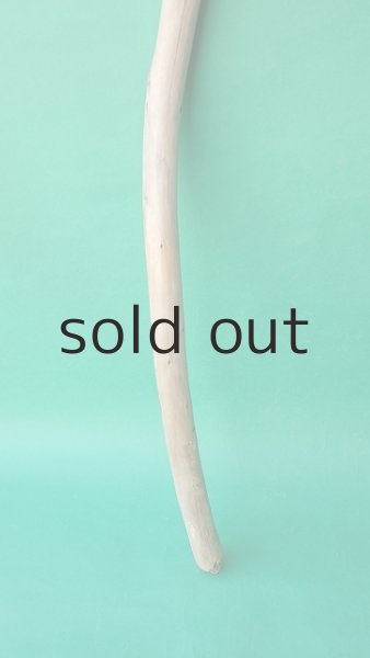 画像2: 棒流木 (2)