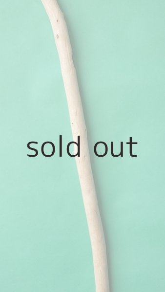 画像3: 棒流木 (3)