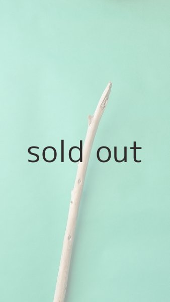 画像4: 棒流木 (4)