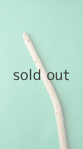 画像4: 棒流木 (4)