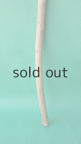 画像2: 棒流木 (2)