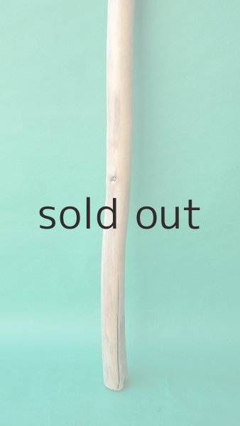 画像2: 棒流木 (2)