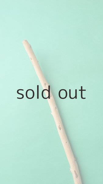 画像4: 棒流木 (4)