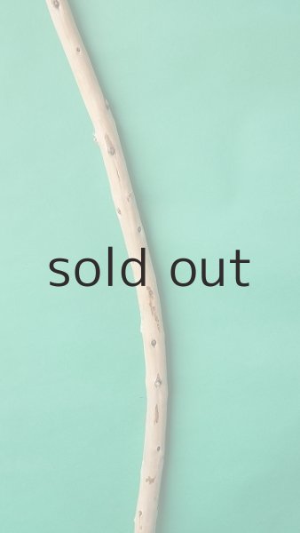 画像3: 棒流木 (3)