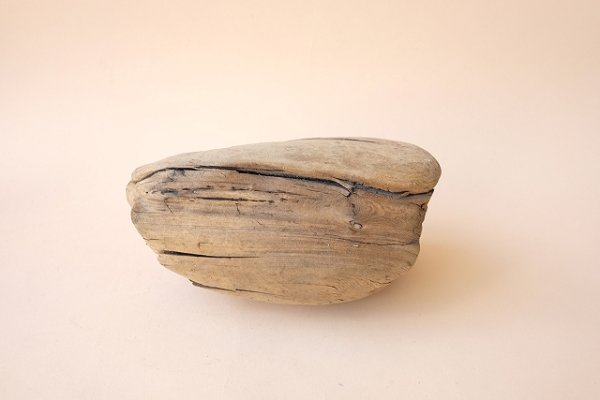 画像2: 変形流木 (2)