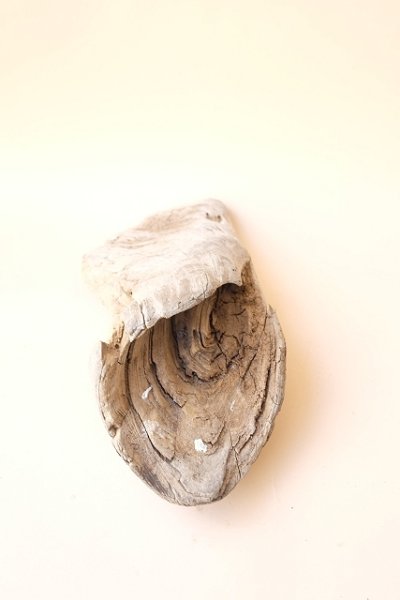 画像4: 変形流木 (4)