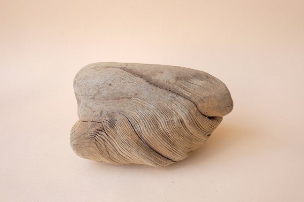 画像3: 変形流木 (3)